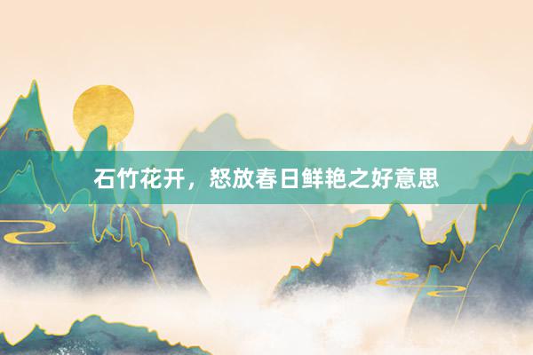 石竹花开，怒放春日鲜艳之好意思