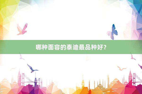 哪种面容的泰迪最品种好？