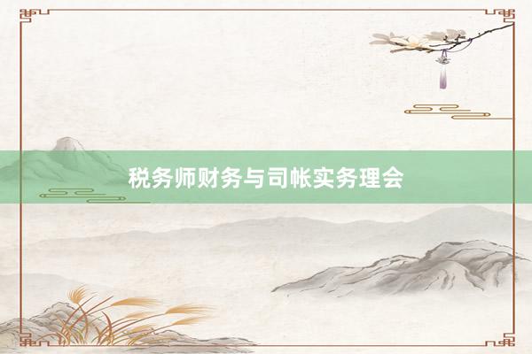 税务师财务与司帐实务理会